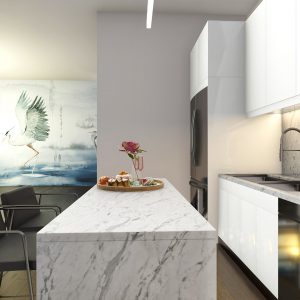 Penthouse kitchen rendering